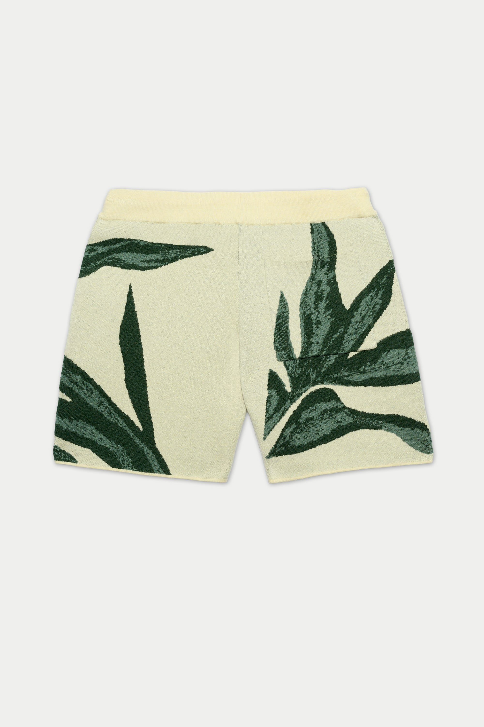 JUNGLE KNIT SHORT | Mavrans – MAVRANS