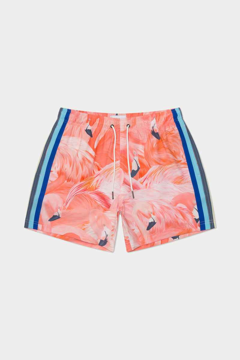 Flamingo Swim Short