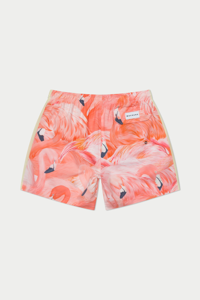 Flamingo Swim Short